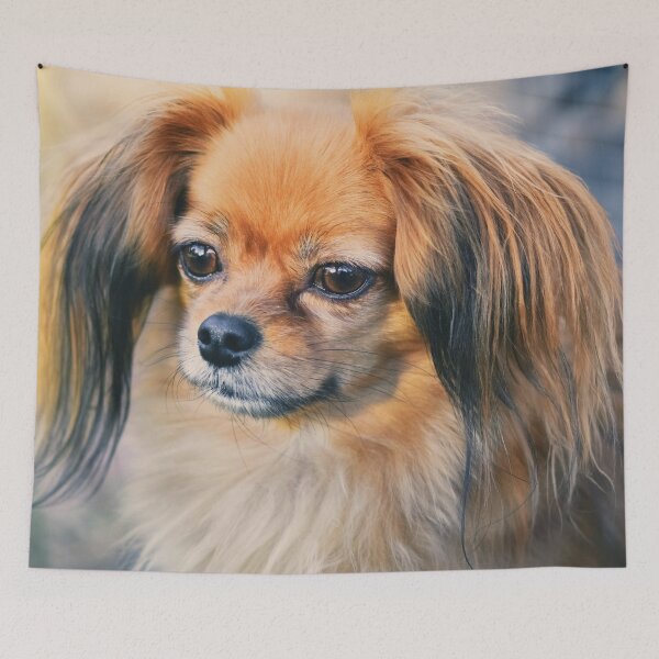 Item preview, Cute Papillon Face designed and sold by TheAnimalZ00.