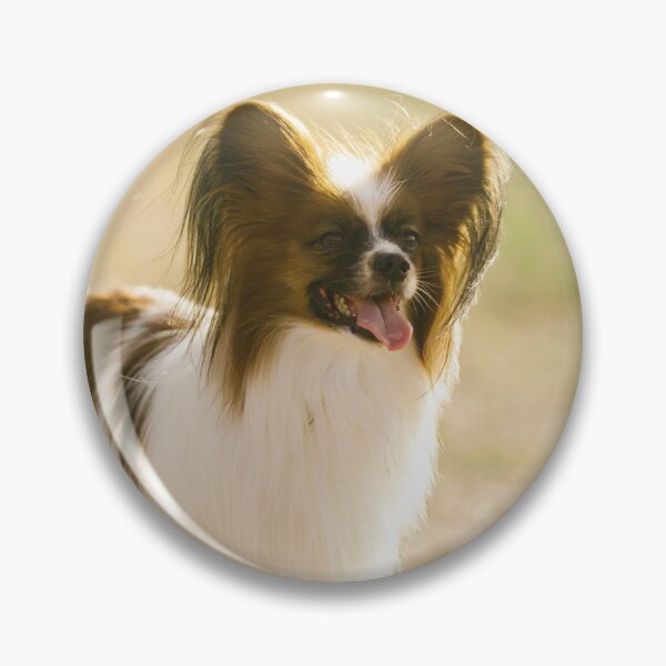 Item preview, Cute Papillon Dog designed and sold by TheAnimalZ00.