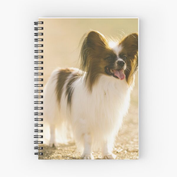 Item preview, Cute Papillon Dog designed and sold by TheAnimalZ00.
