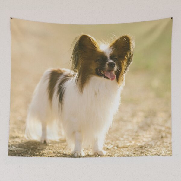 Item preview, Cute Papillon Dog designed and sold by TheAnimalZ00.