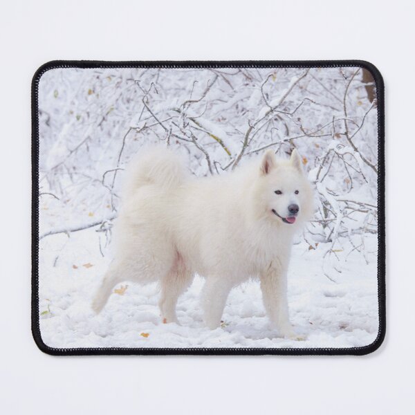 Item preview, Winter Samoyed Dog designed and sold by TheAnimalZ00.