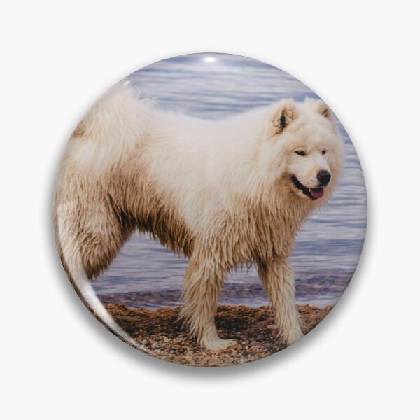 Item preview, Samoyed Dog At The Beach designed and sold by TheAnimalZ00.