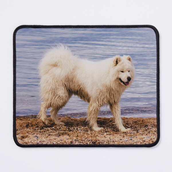 Item preview, Samoyed Dog At The Beach designed and sold by TheAnimalZ00.