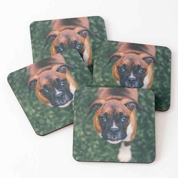 Item preview, Cute Boxer Photo designed and sold by TheAnimalZ00.