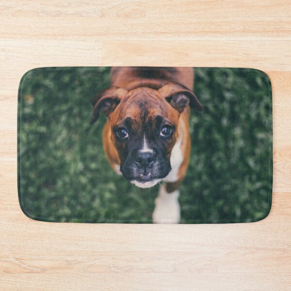 Item preview, Cute Boxer Photo designed and sold by TheAnimalZ00.