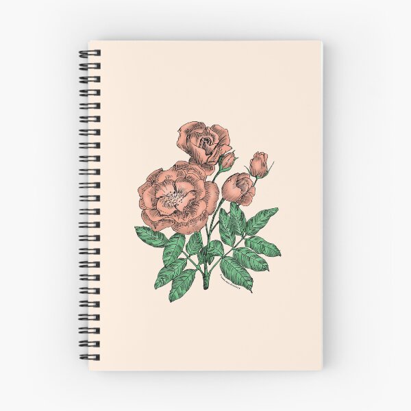 Item preview, Apricot Cupped Rose Bloom Semi-Double 8-15 Petals In 2 Rows designed and sold by Rachael Taylor.