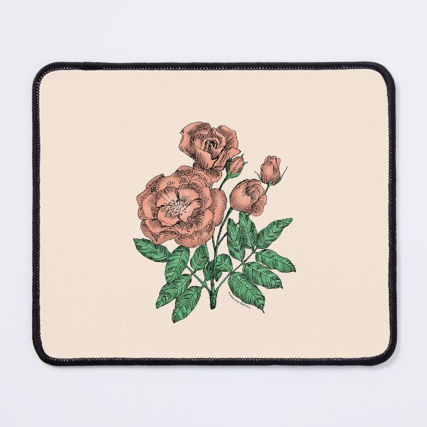Item preview, Apricot Cupped Rose Bloom Semi-Double 8-15 Petals In 2 Rows designed and sold by Rachael Taylor.