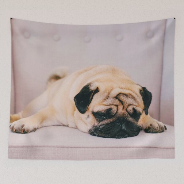 Item preview, Pug Photo designed and sold by TheAnimalZ00.