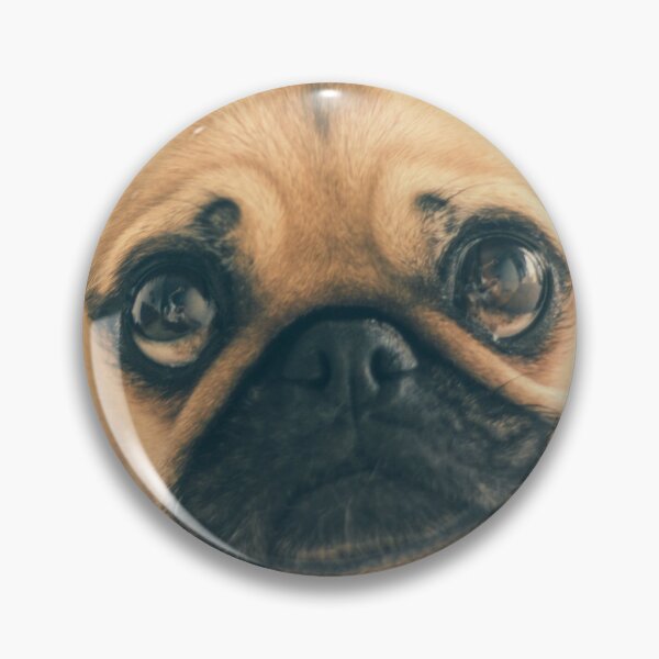 Item preview, Pug Face designed and sold by TheAnimalZ00.