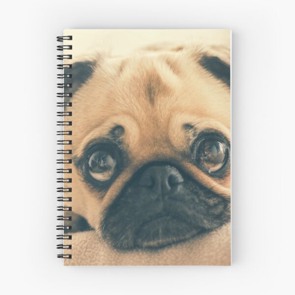 Item preview, Pug Face designed and sold by TheAnimalZ00.