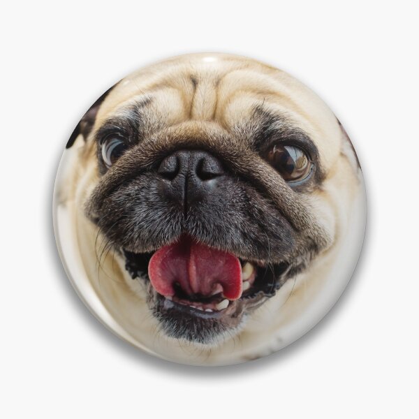 Item preview, Cute Pug Face designed and sold by TheAnimalZ00.