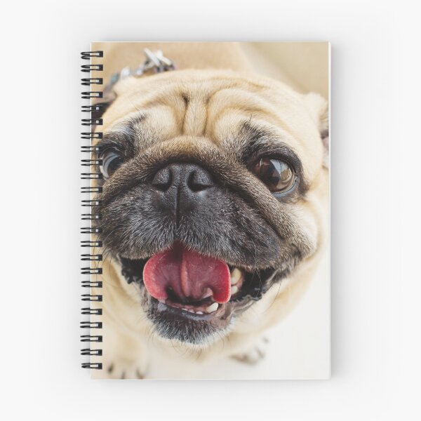 Item preview, Cute Pug Face designed and sold by TheAnimalZ00.