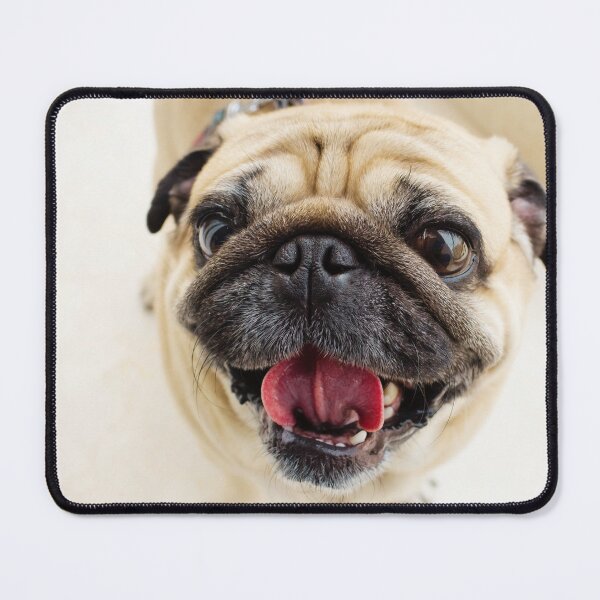 Item preview, Cute Pug Face designed and sold by TheAnimalZ00.
