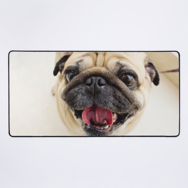 Item preview, Cute Pug Face designed and sold by TheAnimalZ00.