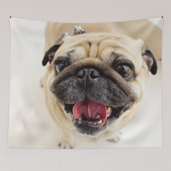 Item preview, Cute Pug Face designed and sold by TheAnimalZ00.