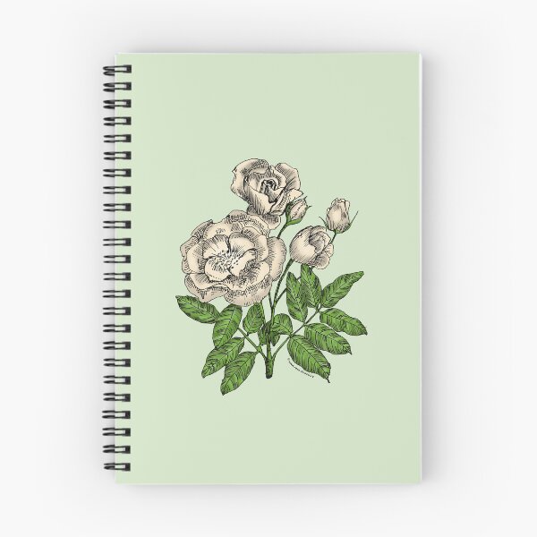 Item preview, Cream Cupped Rose Bloom Semi-Double 8-15 Petals In 2 Rows designed and sold by Rachael Taylor.