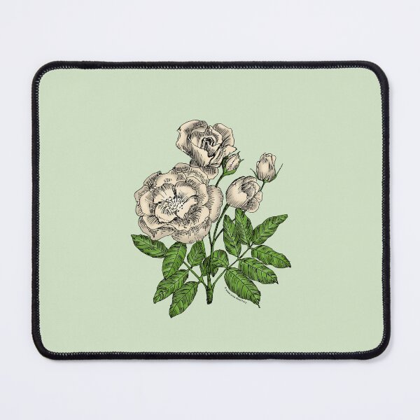 Item preview, Cream Cupped Rose Bloom Semi-Double 8-15 Petals In 2 Rows designed and sold by Rachael Taylor.
