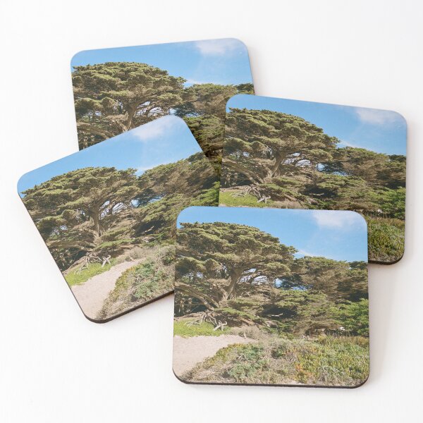 Item preview, Big Sur California Film Photography designed and sold by anthonylonder.