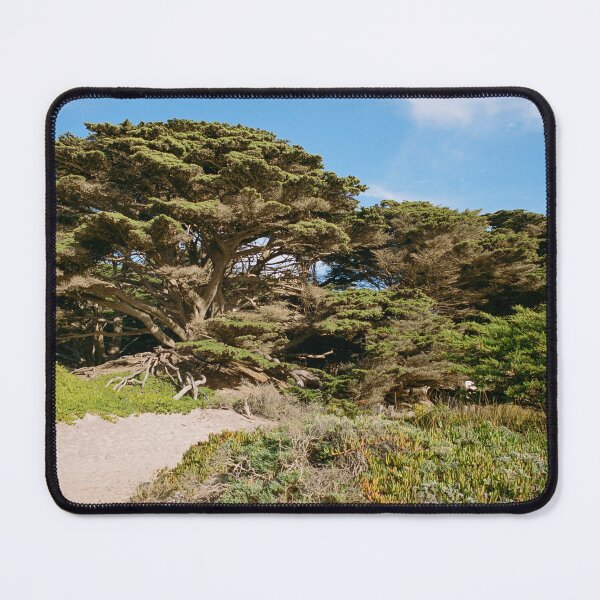 Item preview, Big Sur California Film Photography designed and sold by anthonylonder.