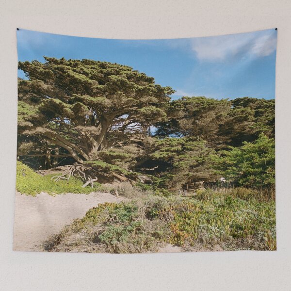 Item preview, Big Sur California Film Photography designed and sold by anthonylonder.