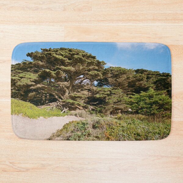 Item preview, Big Sur California Film Photography designed and sold by anthonylonder.