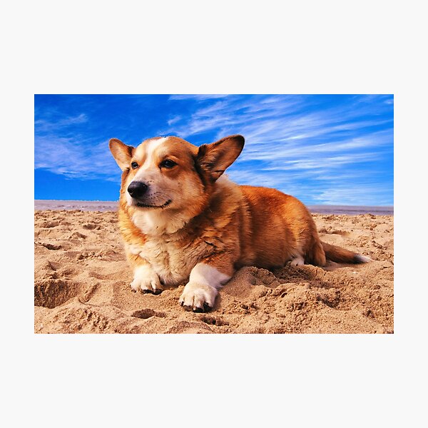 Item preview, Corgi At The Beach designed and sold by TheAnimalZ00.