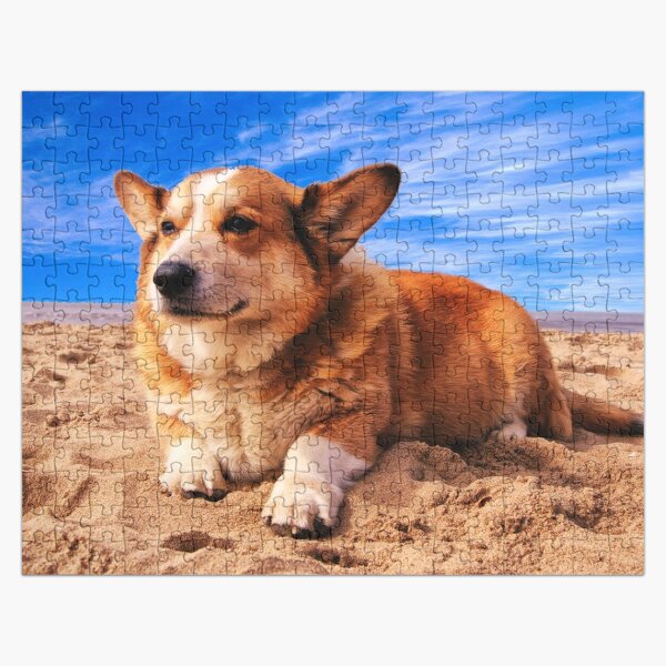 Artikel-Vorschau von Corgi am Strand, designt und verkauft von TheAnimalZ00.