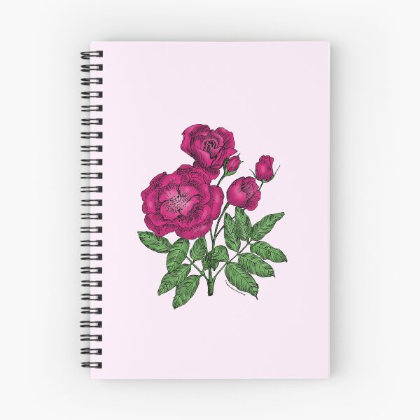 Item preview, Deep Pink Cupped Rose Bloom Semi-Double 8-15 Petals In 2 Rows designed and sold by Rachael Taylor.