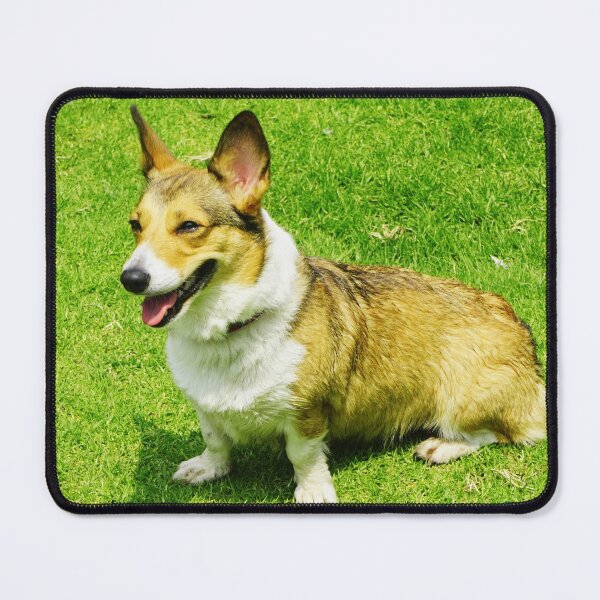 Item preview, Cute Corgi Photo designed and sold by TheAnimalZ00.