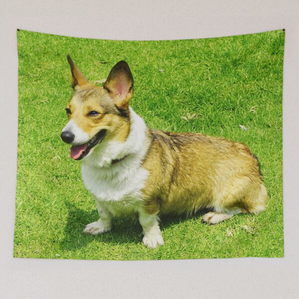Item preview, Cute Corgi Photo designed and sold by TheAnimalZ00.