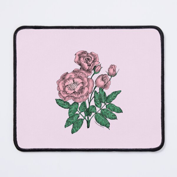 Item preview, Light Pink Cupped Rose Bloom Semi-Double 8-15 Petals In 2 Rows designed and sold by Rachael Taylor.