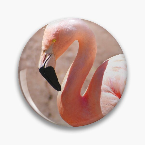 Item preview, Pink Flamingo Photo designed and sold by TheAnimalZ00.