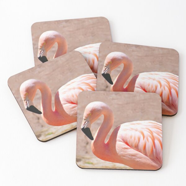 Item preview, Pink Flamingo Photo designed and sold by TheAnimalZ00.