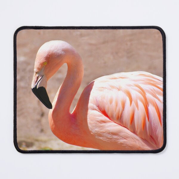 Item preview, Pink Flamingo Photo designed and sold by TheAnimalZ00.