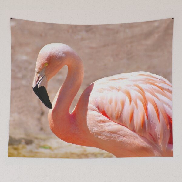 Item preview, Pink Flamingo Photo designed and sold by TheAnimalZ00.
