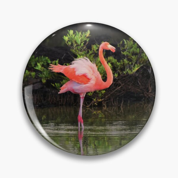 Artikelvorschau, Flamingos entworfen und verkauft von TheAnimalZ00.