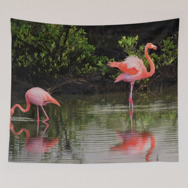 Item preview, Flamingos designed and sold by TheAnimalZ00.