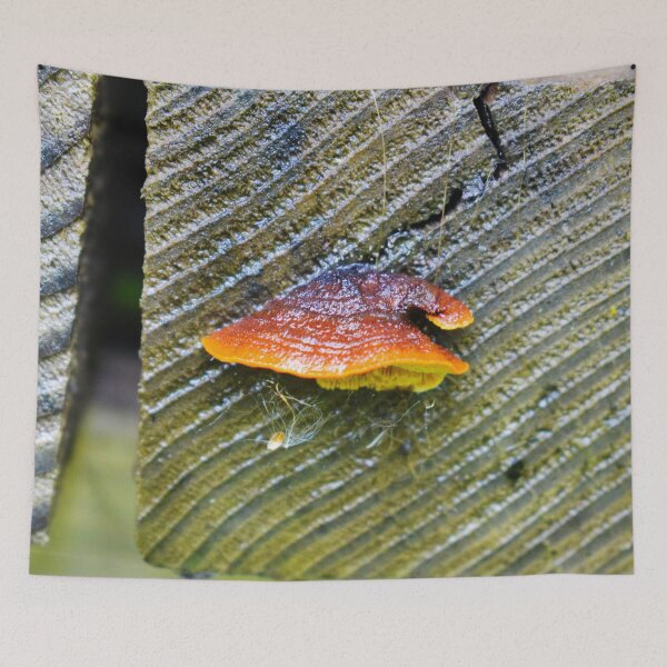 Item preview, Wizard Hat Mushroom Photography  designed and sold by ThePhotograph03.