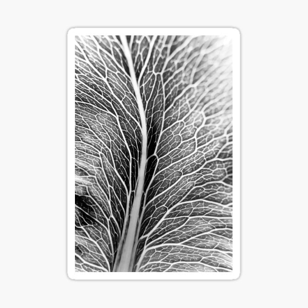 Leaf Pattern Sticker
