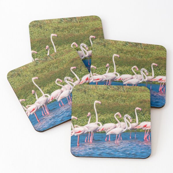 Item preview, A Beautiful Flock Of Flamingos designed and sold by TheAnimalZ00.