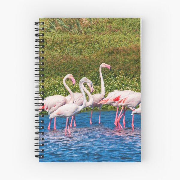 Item preview, A Beautiful Flock Of Flamingos designed and sold by TheAnimalZ00.