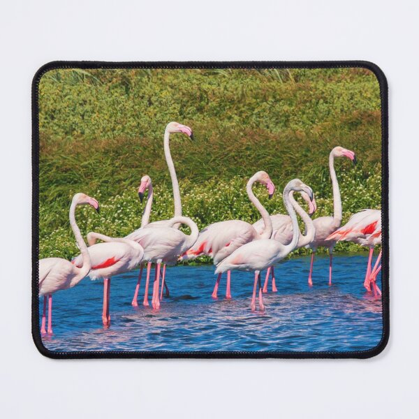 Item preview, A Beautiful Flock Of Flamingos designed and sold by TheAnimalZ00.