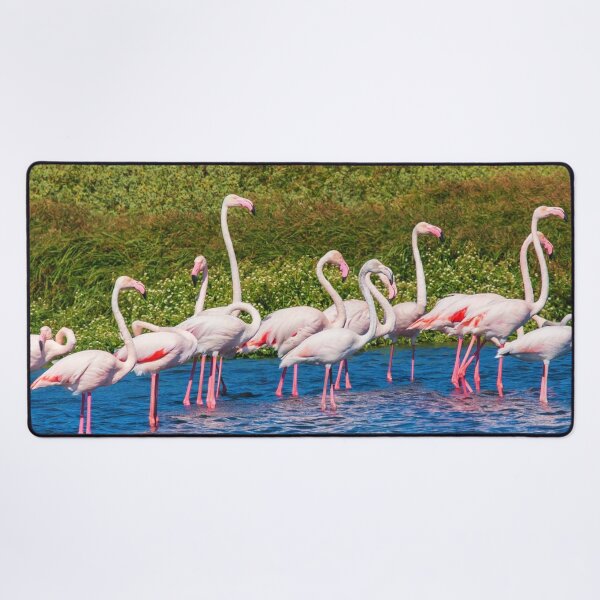 Item preview, A Beautiful Flock Of Flamingos designed and sold by TheAnimalZ00.