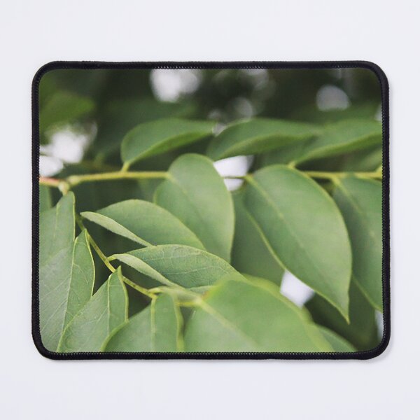 Item preview, Green Leaves Photography  designed and sold by ThePhotograph03.