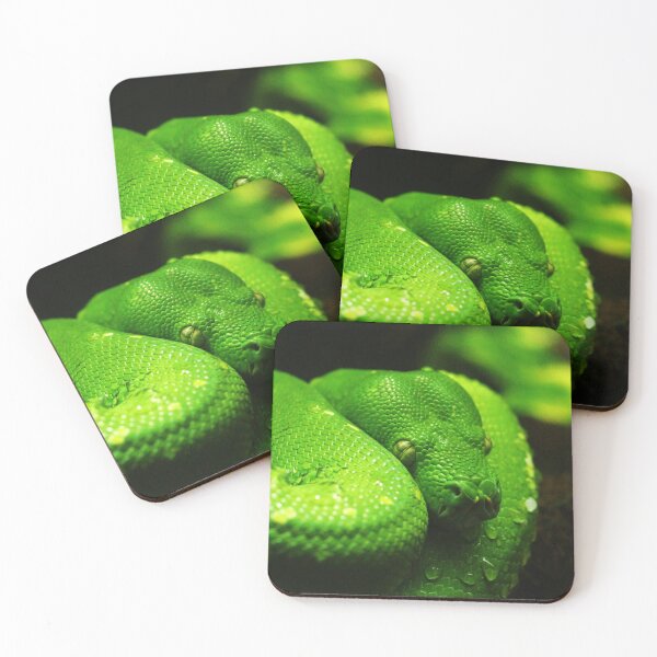 Item preview, Green Tree Python Photo designed and sold by TheAnimalZ00.