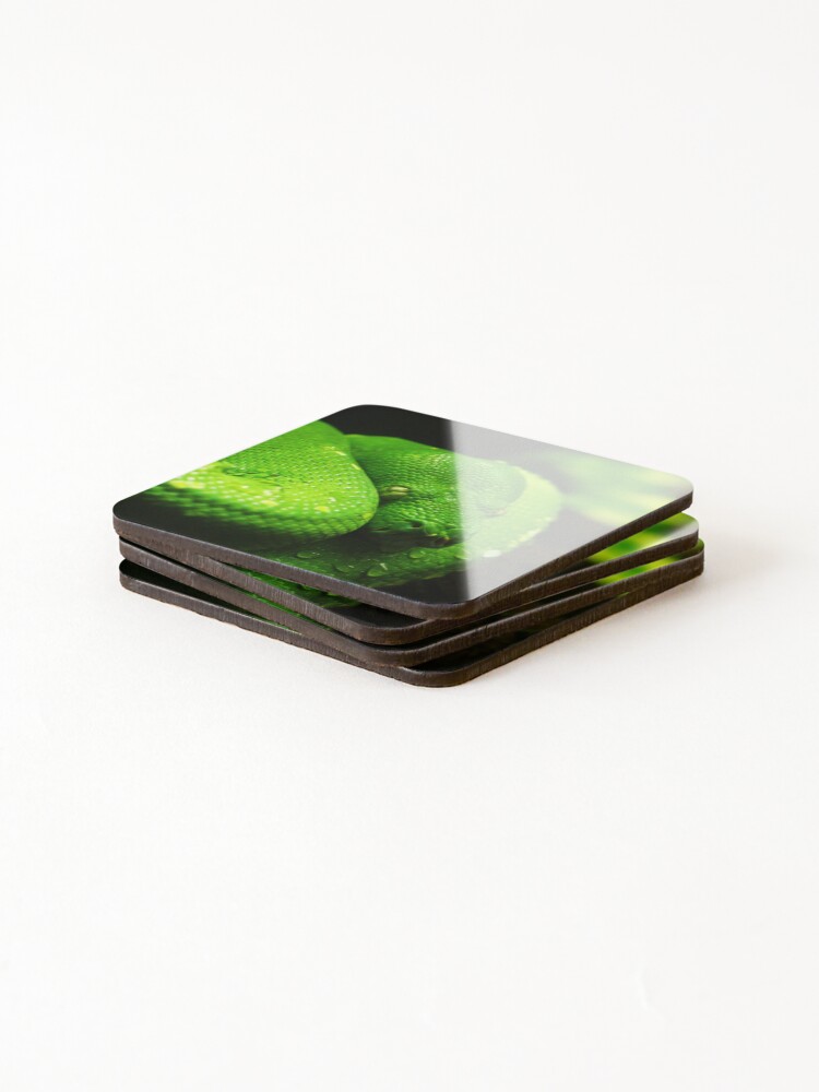 Thumbnail 4 of 5, Coasters (Set of 4), Green Tree Python Photo designed and sold by TheAnimalZ00.