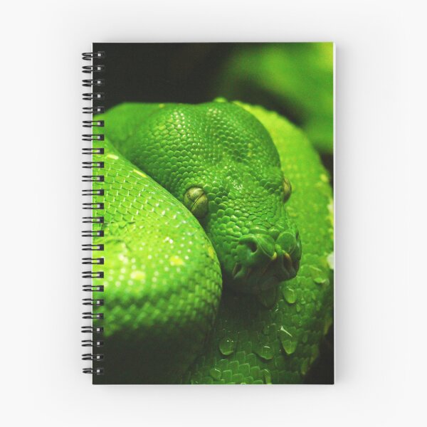 Item preview, Green Tree Python Photo designed and sold by TheAnimalZ00.