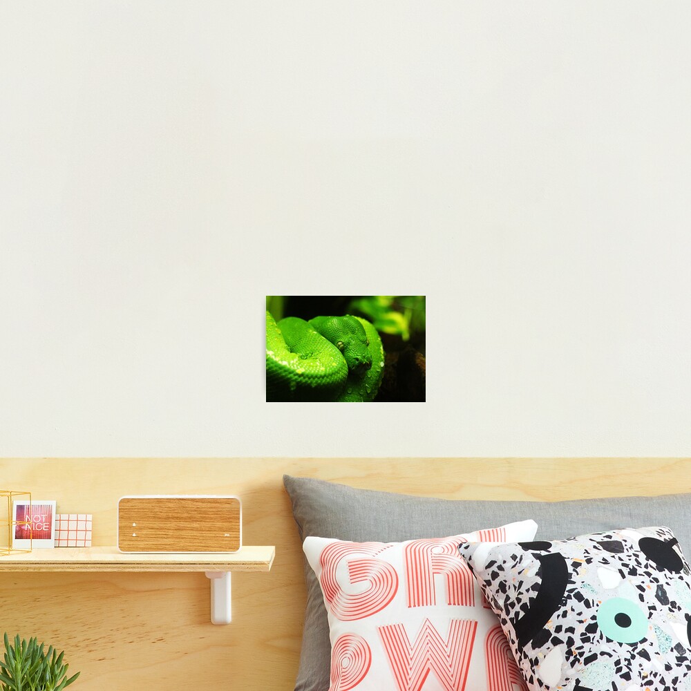 Item preview, Photographic Print designed and sold by TheAnimalZ00.