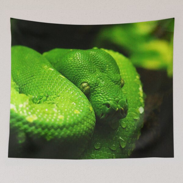 Item preview, Green Tree Python Photo designed and sold by TheAnimalZ00.