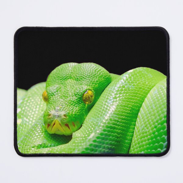 Item preview, Green Tree Python Snake designed and sold by TheAnimalZ00.